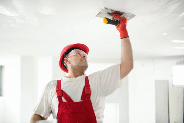 Painting & Drywall Services