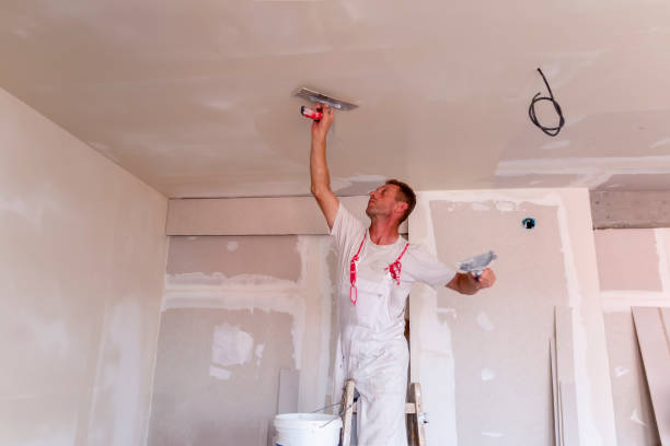 Best Drywall Sanding and Smoothing  in Newfield, NJ